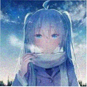路飞粉丝